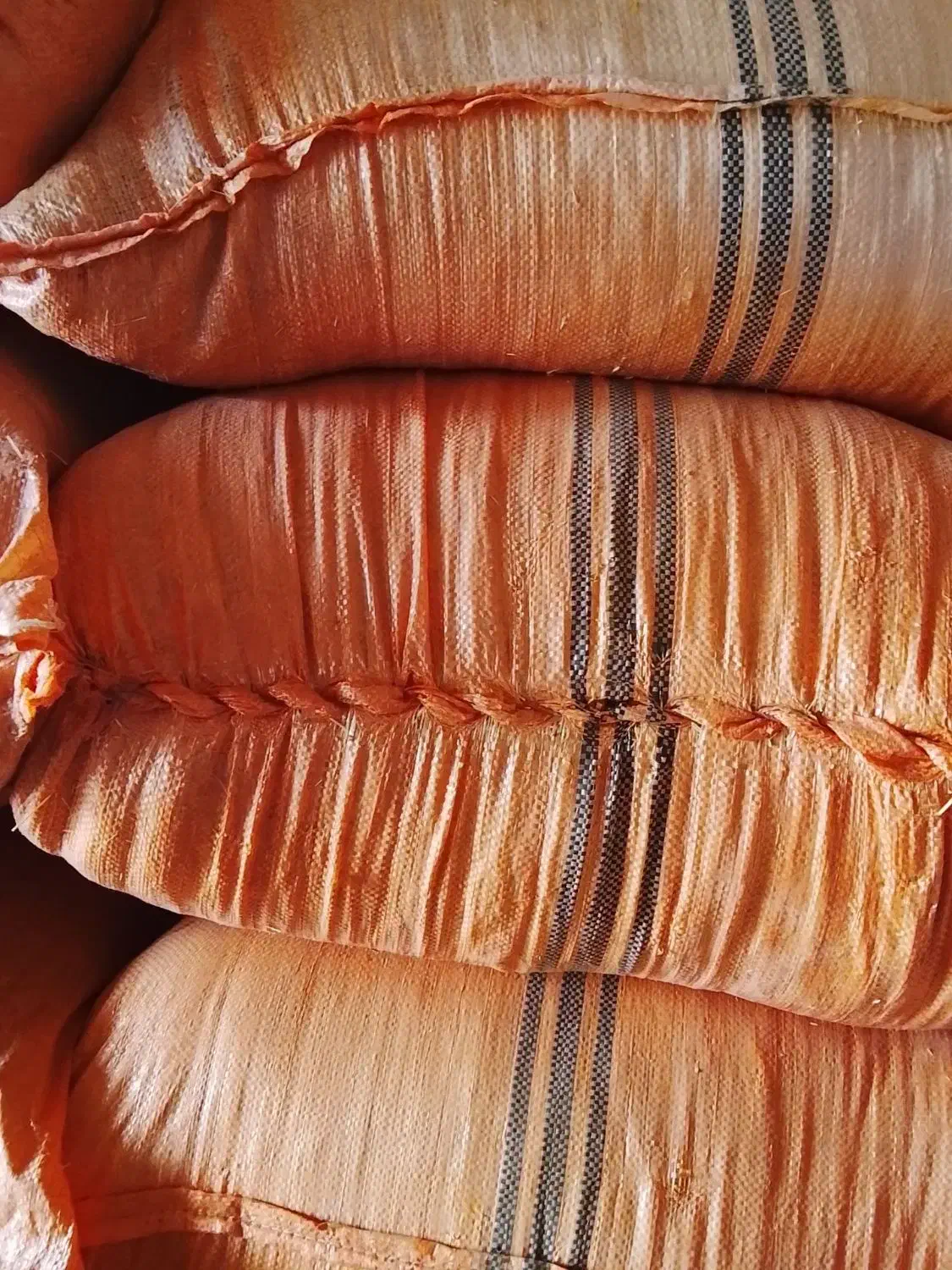 کاه|خدمات باغبانی و درختکاری|پلدشت, |دیوار