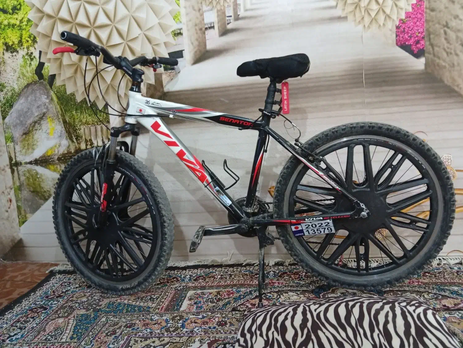 دوچرخه ویوا اصل تیوان|دوچرخه، اسکیت، اسکوتر|اهواز, زندوکیلی|دیوار