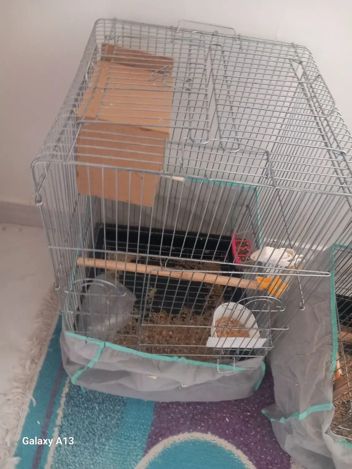 قفس بزرگ|لوازم جانبی حیوانات|تهران, مسعودیه|دیوار