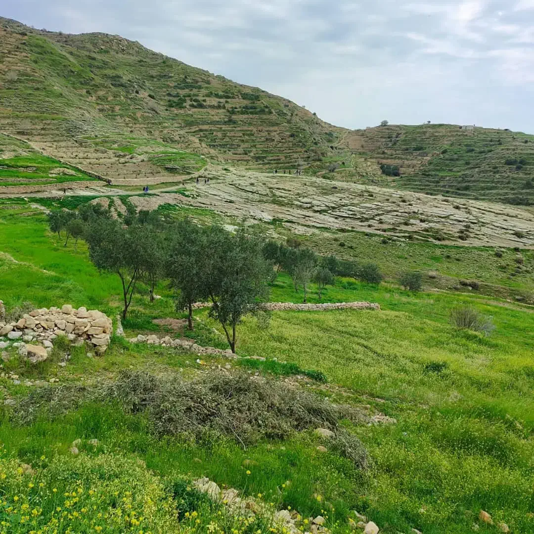 نیروی کار|استخدام خدمات فروشگاه و رستوران|سنندج, |دیوار