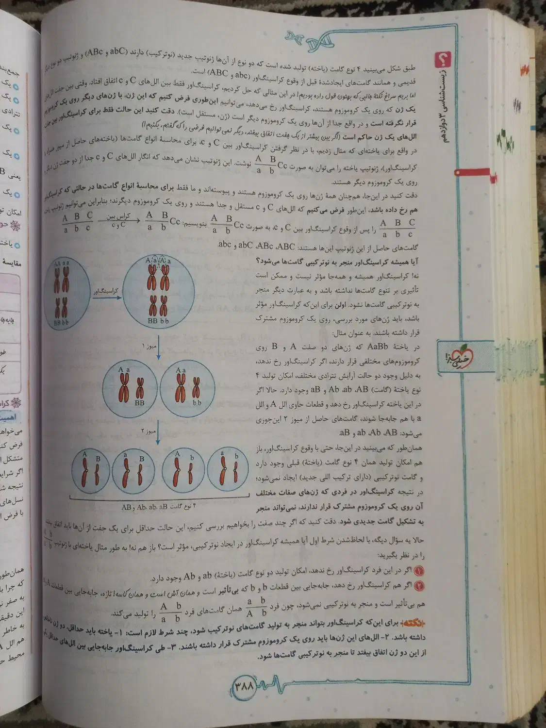 زیست دوازدهم|کتاب و مجله آموزشی|قم, هفت تیر|دیوار