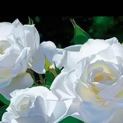 چالشها ومشکلات میانسالی|فعالیت داوطلبانه|تهران, دستغیب|دیوار