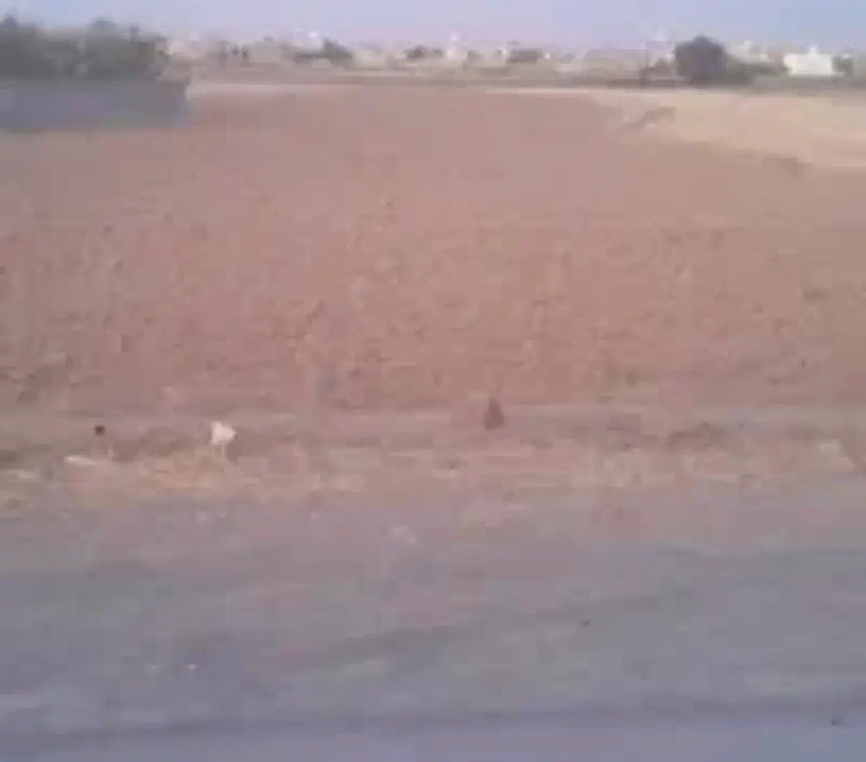 زمین (کشاورزی) در ضیا اباد|فروش زمین و ملک کلنگی|ضیاء آباد, |دیوار