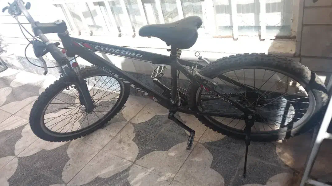 دوچرخه ویوا ۲۶|دوچرخه، اسکیت، اسکوتر|شیراز, تندگویان|دیوار