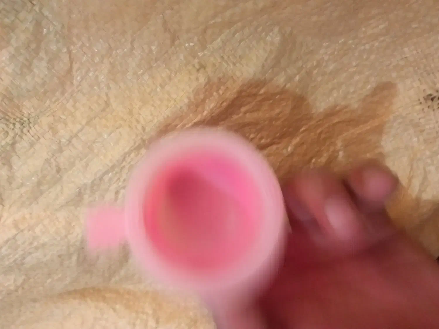 لوازم پرنده سهره قناری کفتر عروس هلندی طوطی|لوازم جانبی حیوانات|گلستان (تهران), |دیوار