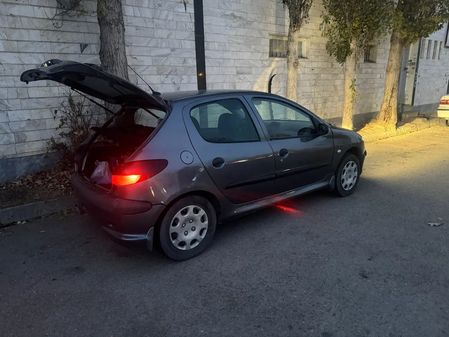 ۲۰۶ تیپ ۲|خودرو سواری و وانت|اردبیل, |دیوار