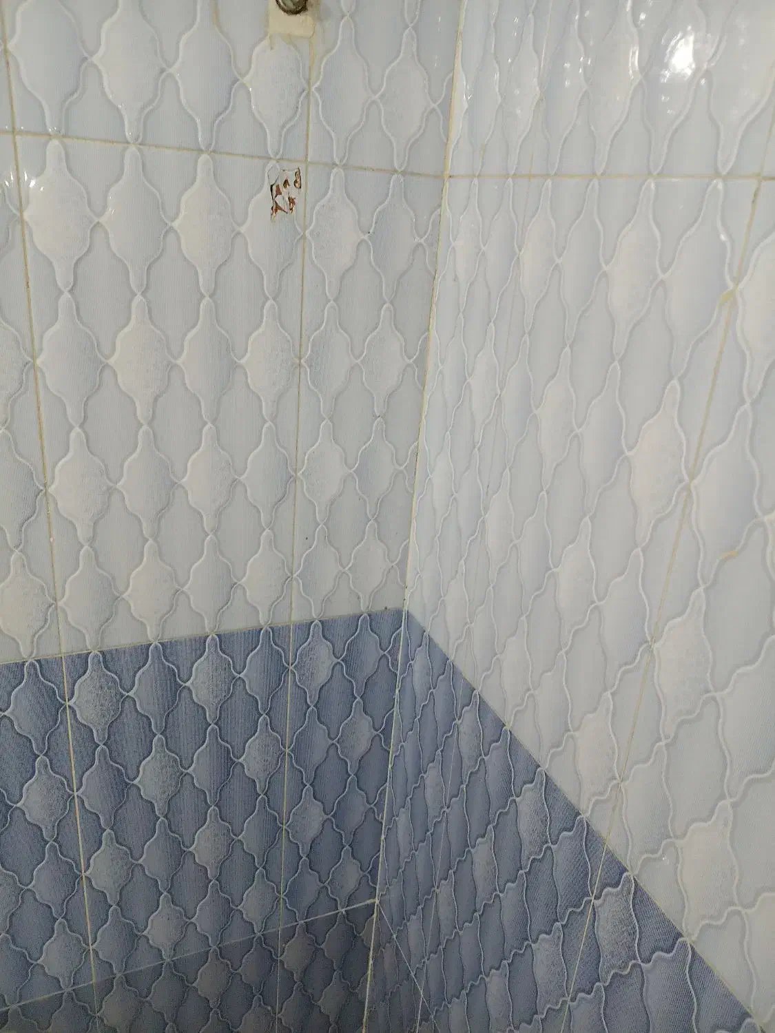 انجام کاشی کاری سنگ کاری ...و کلیه اموربنایی|خدمات پیشه و مهارت|گلبهار, شهر جدید گلبهار|دیوار