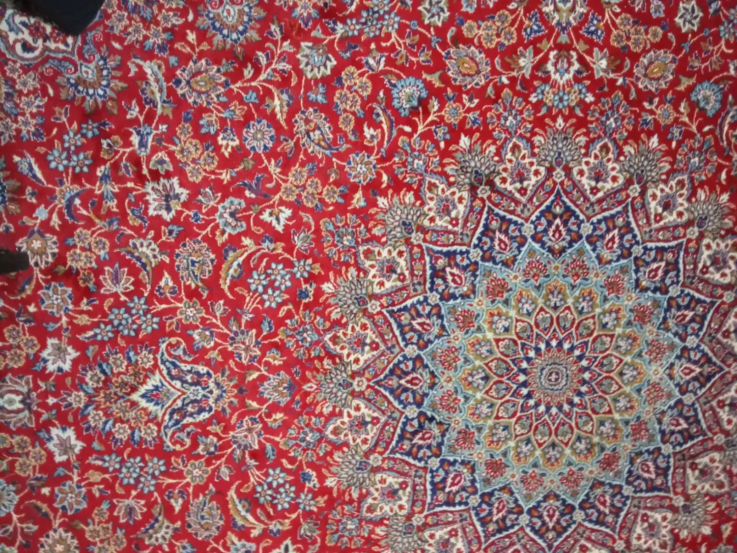 فرش دوازده متری|فرش|طرقبه, |دیوار