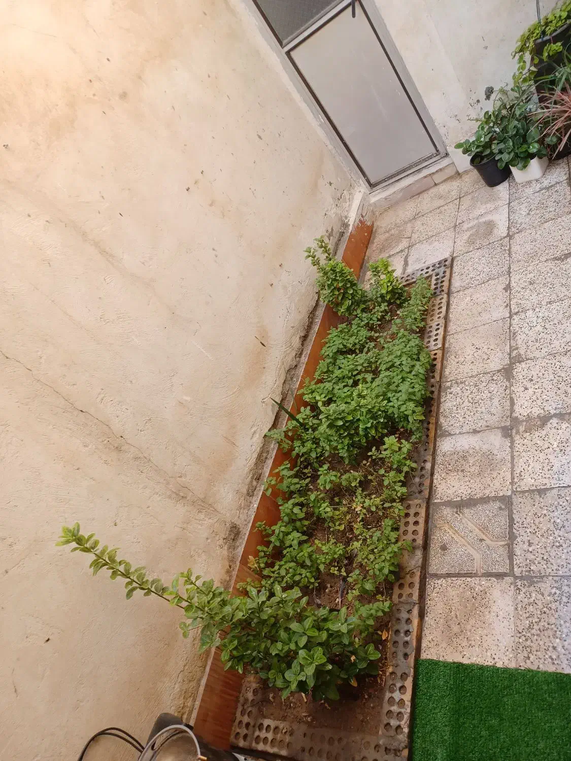 راهنمای همخونه|اجارهٔ آپارتمان|مشهد, نیروی هوایی|دیوار