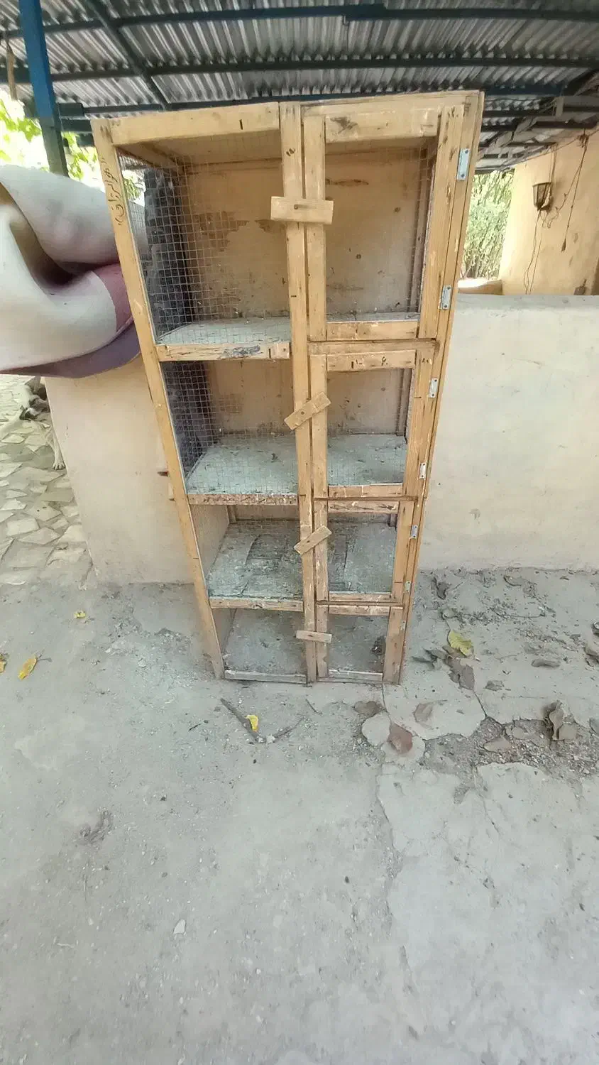 جفتکن کفتر۸۰۰تومن|لوازم جانبی حیوانات|رودهن, |دیوار