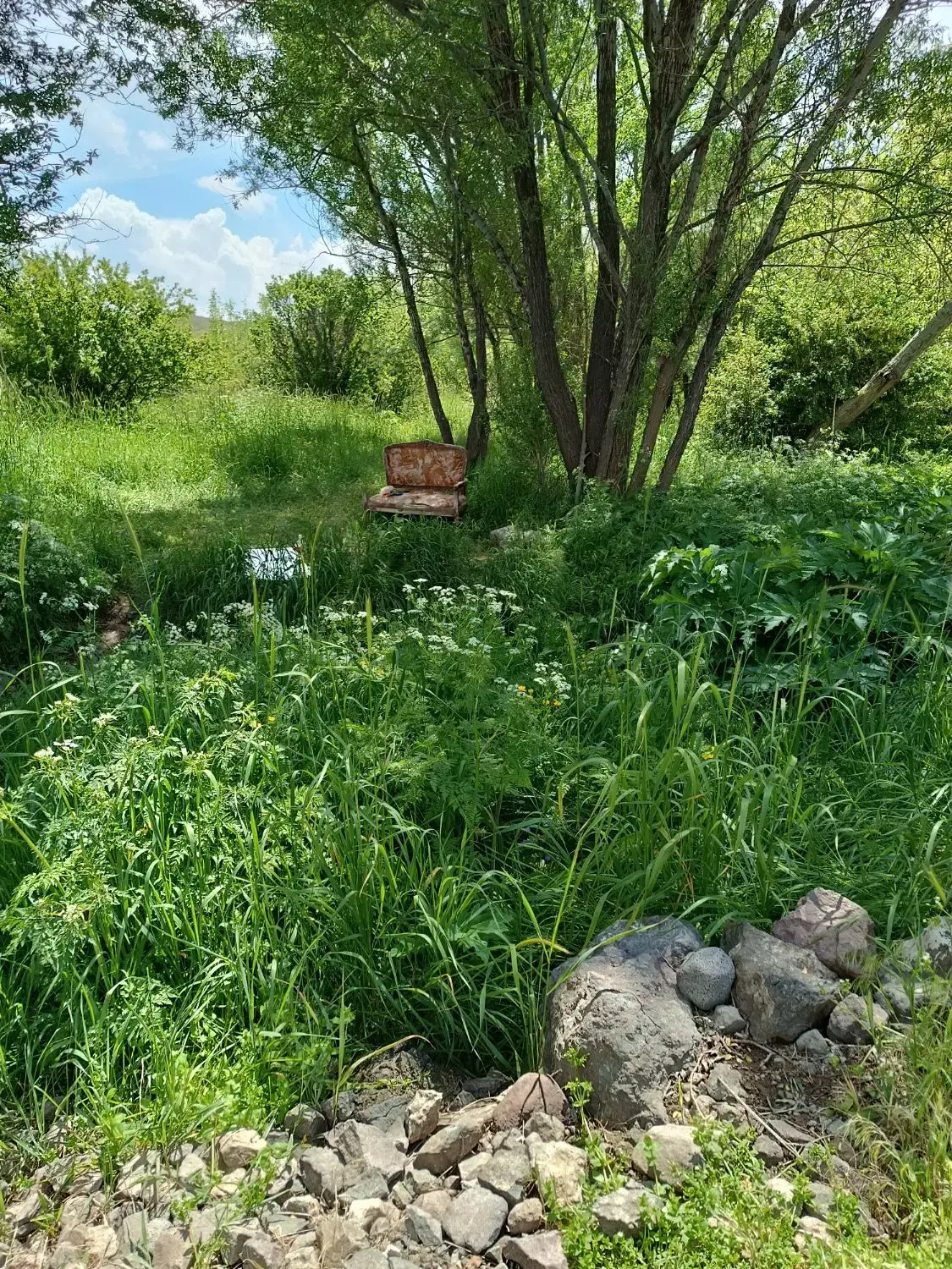 زمین در روستای گرده وباغ ۵۰۰۰متری در میرزانق|فروش زمین و ملک کلنگی|عنبران, |دیوار