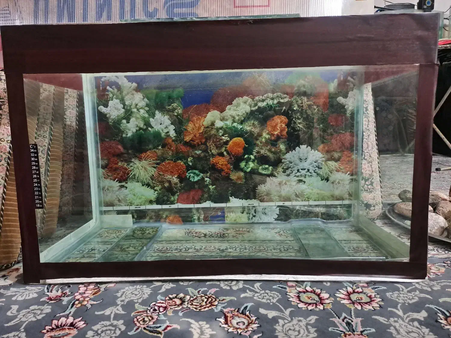 آکواریوم۸۰سانتی۵میل فلوت|ماهی|قم, نیروگاه|دیوار