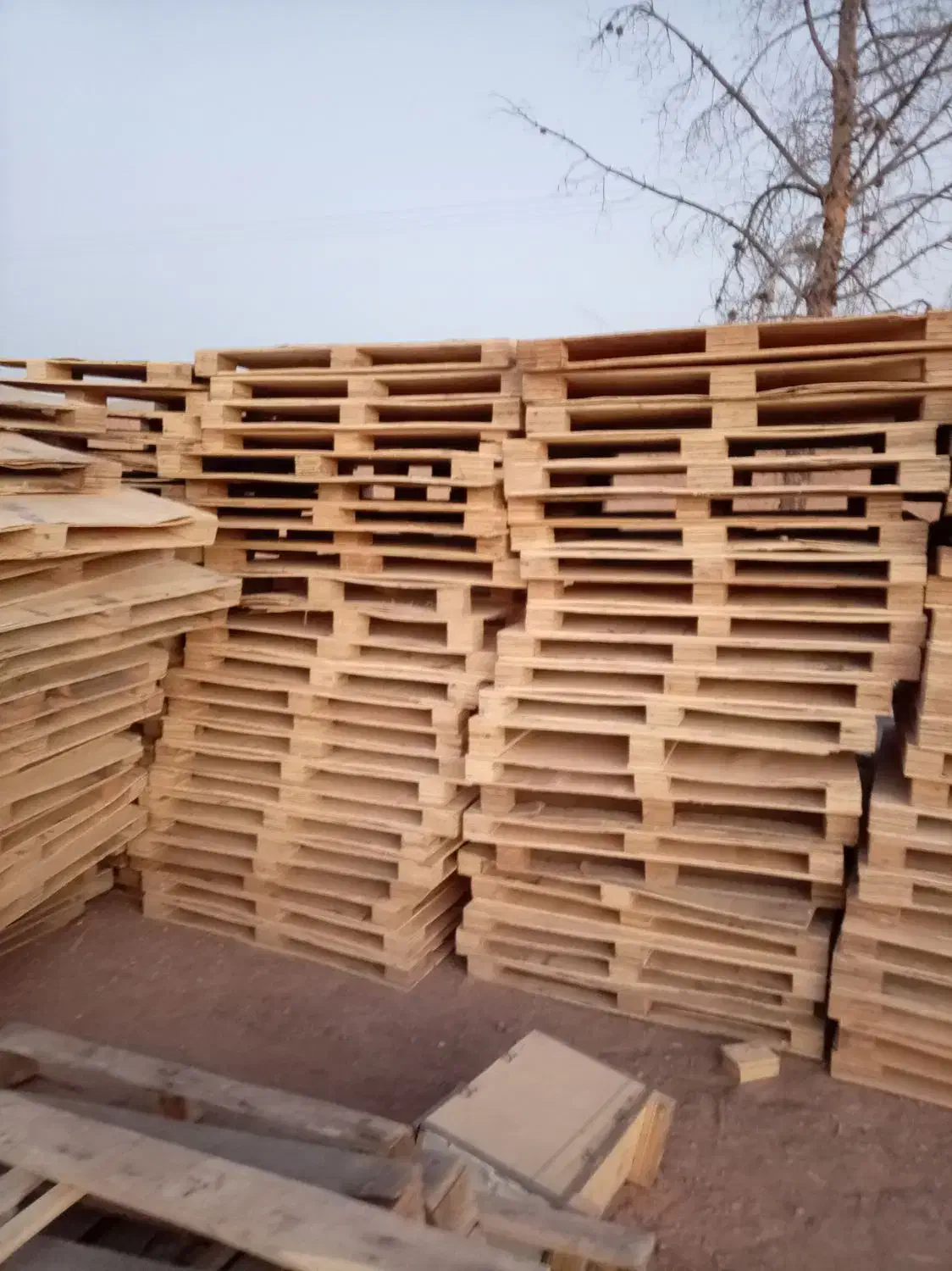 پالت هفت لایه|عمده‌فروشی|زیباشهر, |دیوار