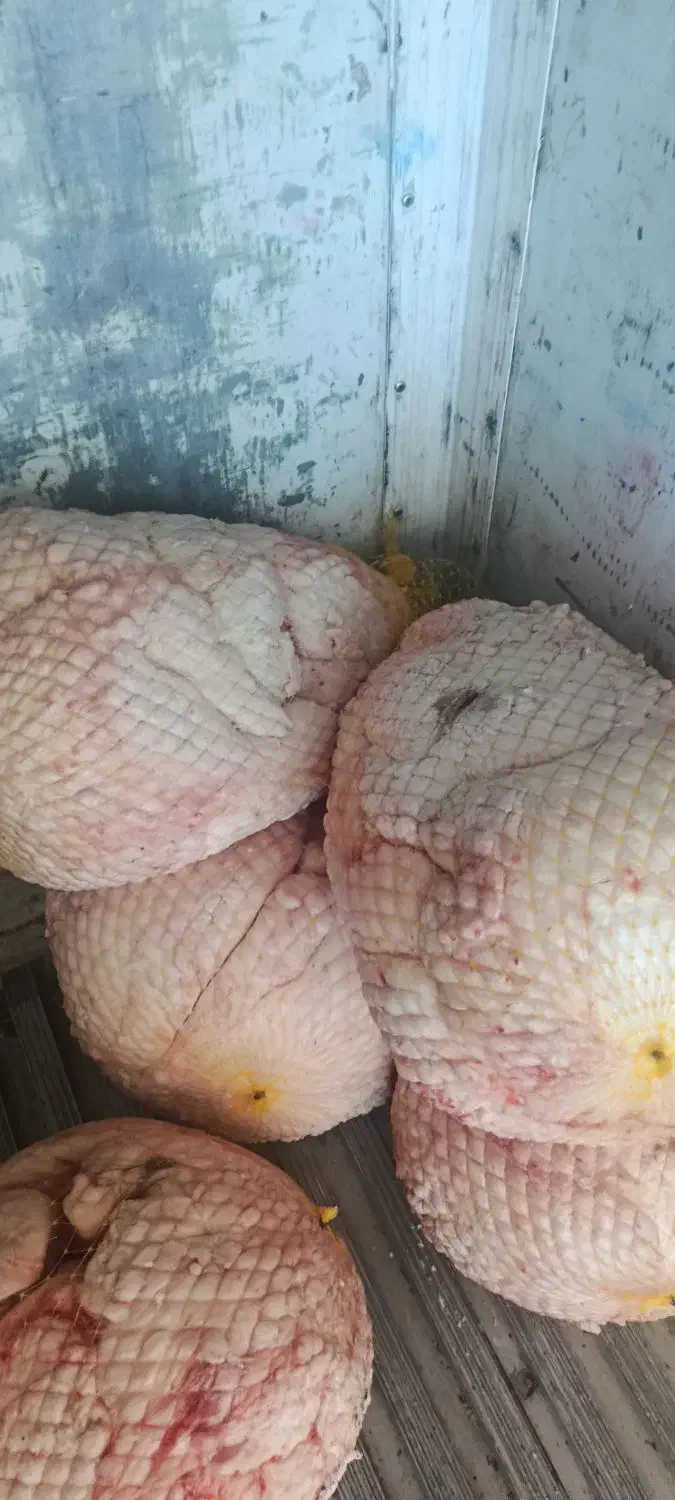 دنبه سفیدوتمیزمال میشه|خوردنی و آشامیدنی|تهران, سلسبیل شمالی|دیوار