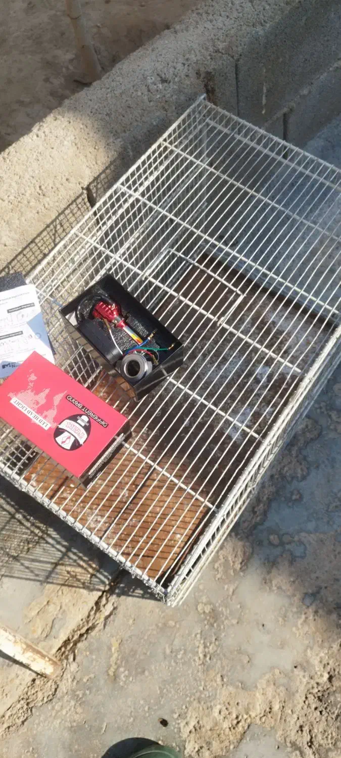 قفس|لوازم جانبی حیوانات|امیدیه, |دیوار