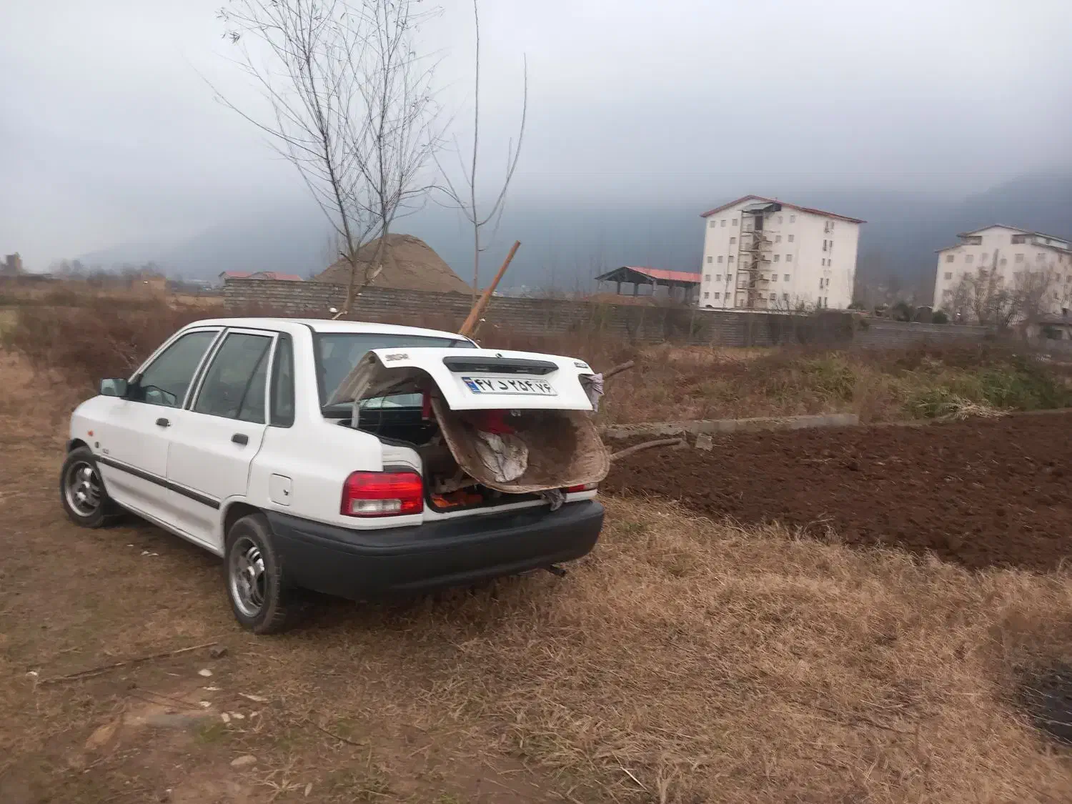 علف زنی|خدمات باغبانی و درختکاری|لاهیجان, گلستان|دیوار