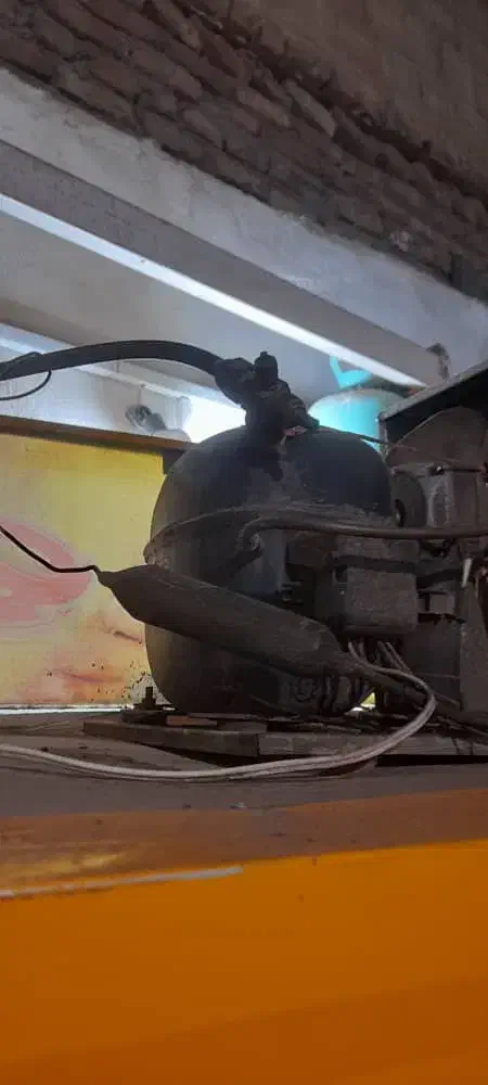 یخچال ویترینی|یخچال و فریزر|خوی, |دیوار