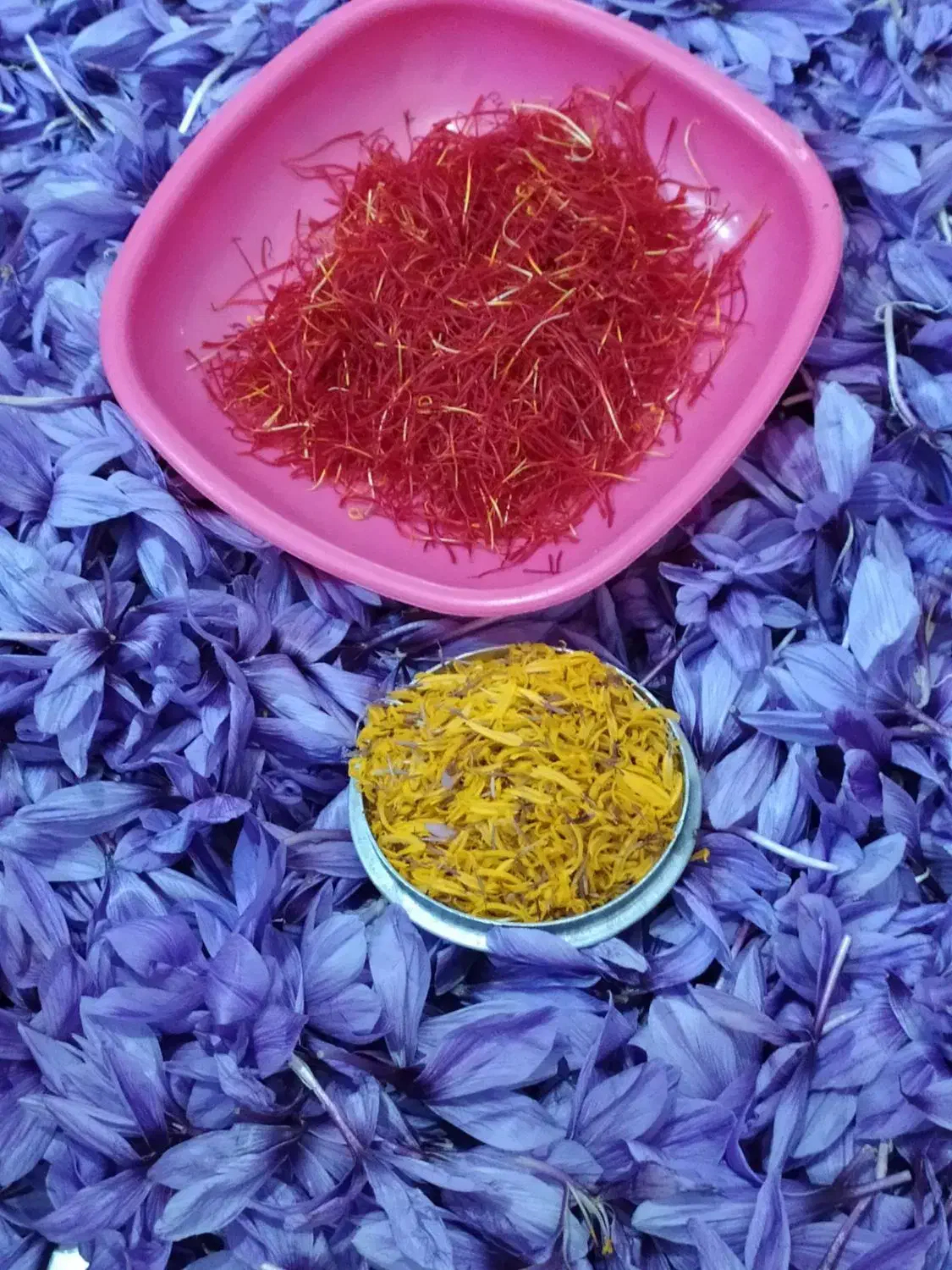 زعفران محلی با بهترین کیفیت کاشت خودم|خوردنی و آشامیدنی|ملکشاهی, |دیوار