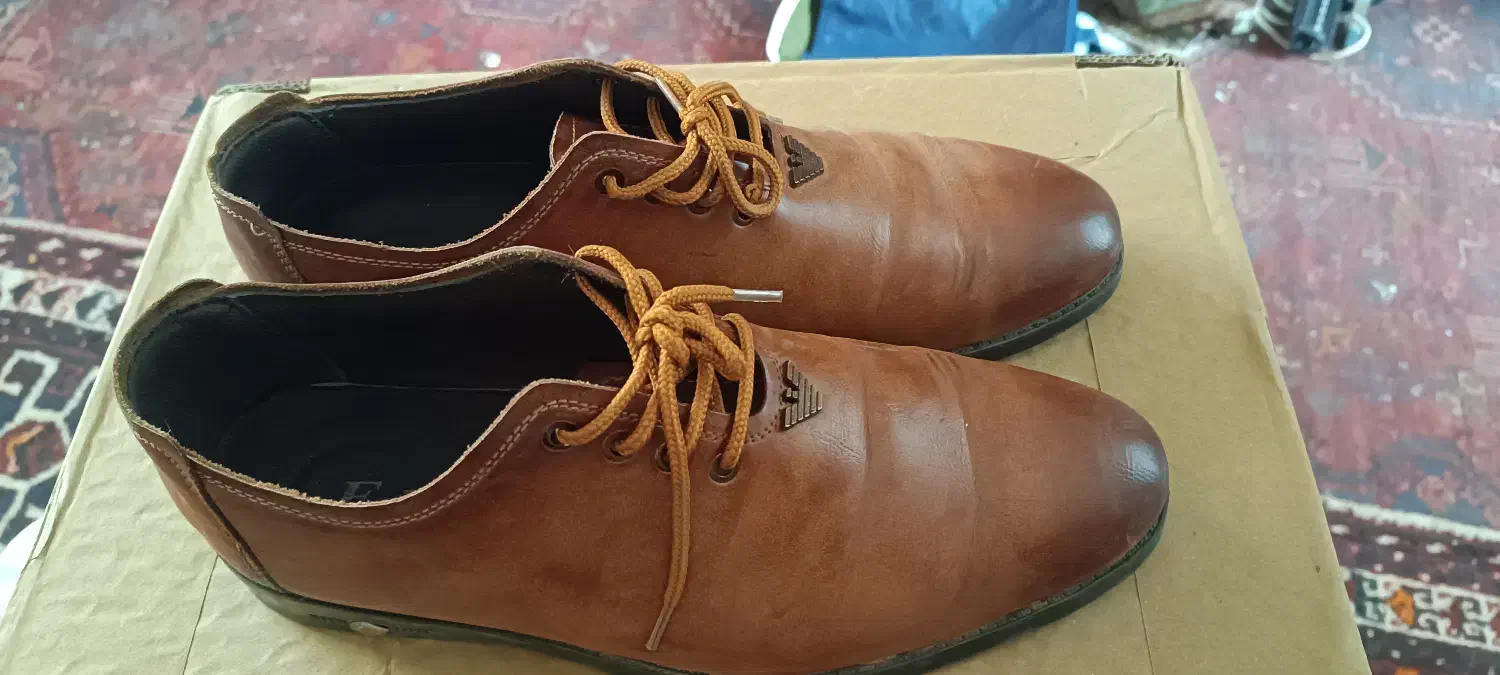 کفش مردانه چرمی|کیف، کفش، کمربند|قم, چهل درخت|دیوار