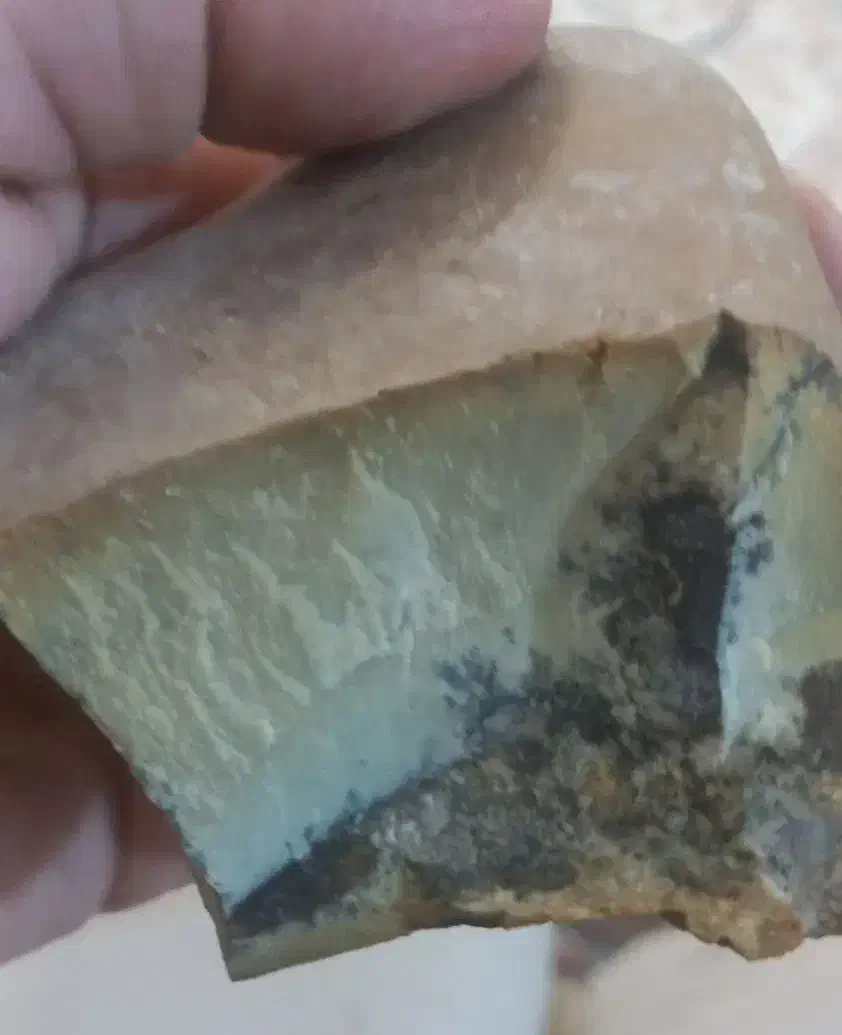 سنگ شجر|کلکسیون اشیاء عتیقه|اراک, |دیوار