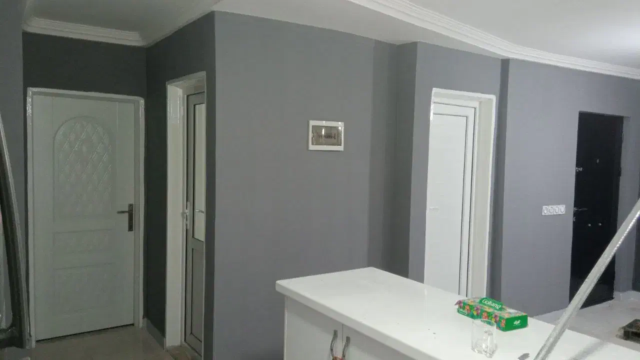 نقاشی و رنگ آمیزی تخصصی ساختمان|خدمات پیشه و مهارت|میناب, |دیوار