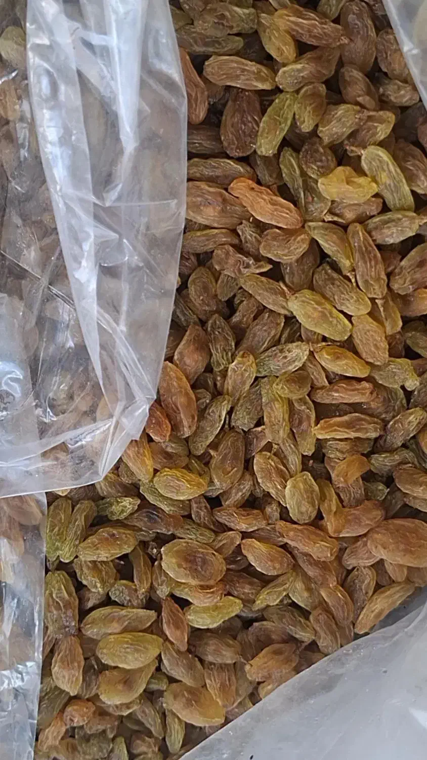 کشمش سبز کاشمر پخش همکاری کارتنی|خوردنی و آشامیدنی|گنبد کاووس, |دیوار