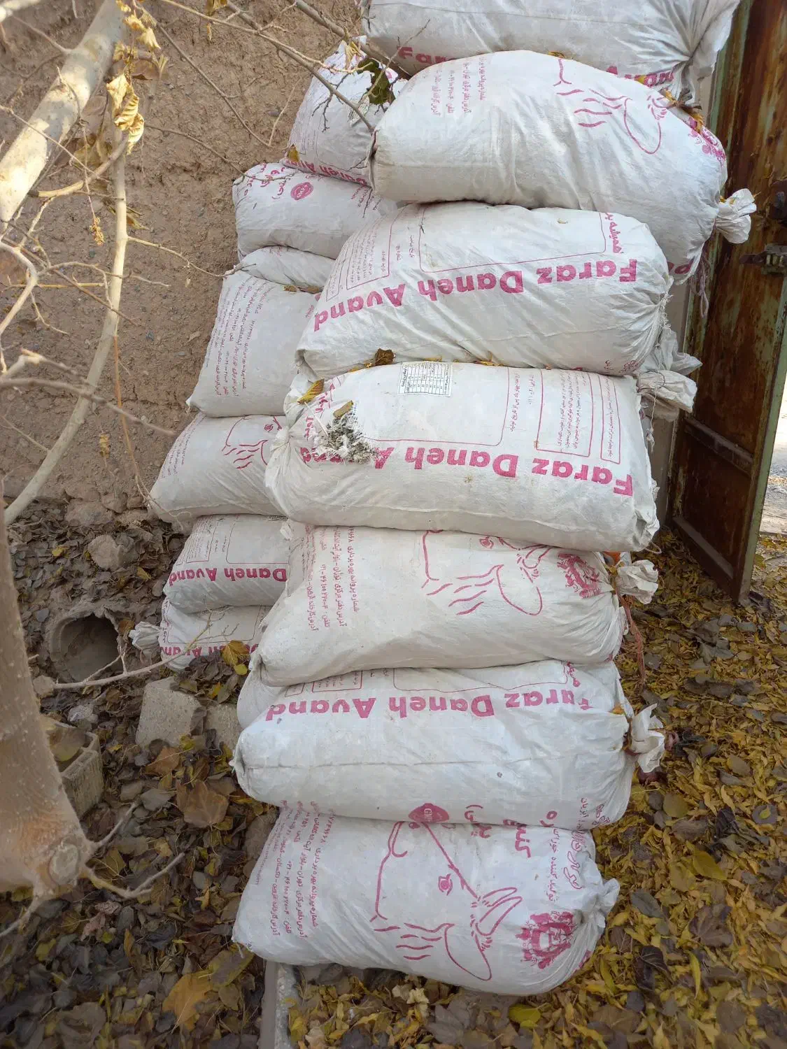 کود کبوتر|گل و گیاه طبیعی|مهریز, |دیوار