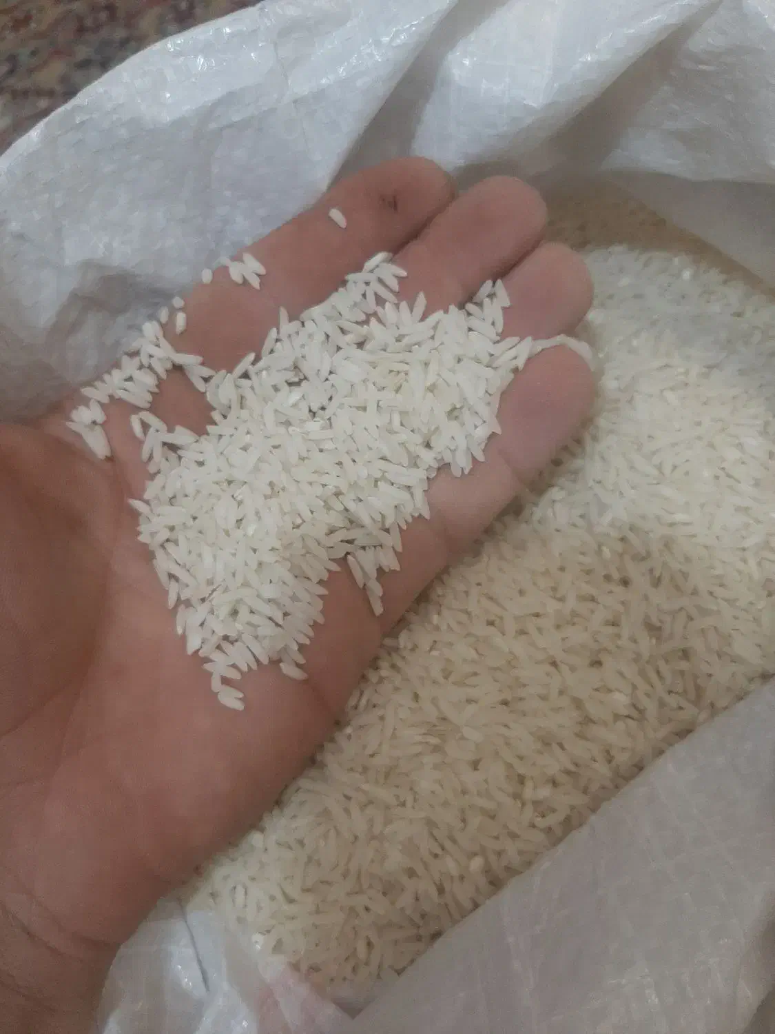 برنج ایرانی هاشمی درجه یک به شرط پخت|خوردنی و آشامیدنی|هشتگرد, فاز ۷ مهستان|دیوار