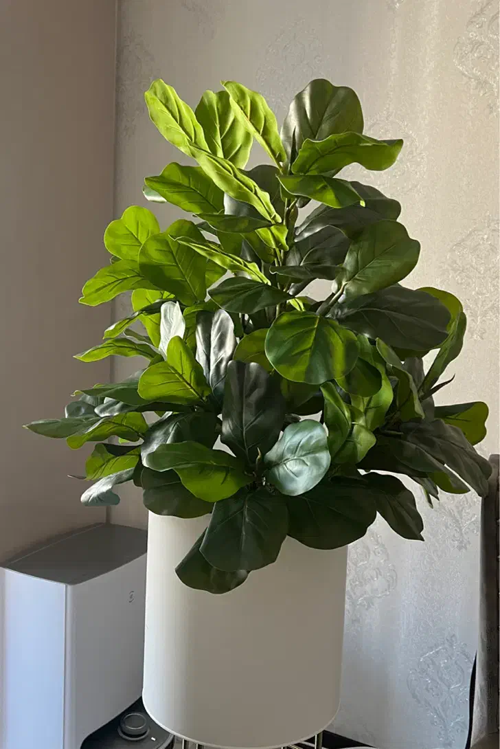 گل و گلدون|گل مصنوعی|تهران, تهرانسر مرکزی|دیوار