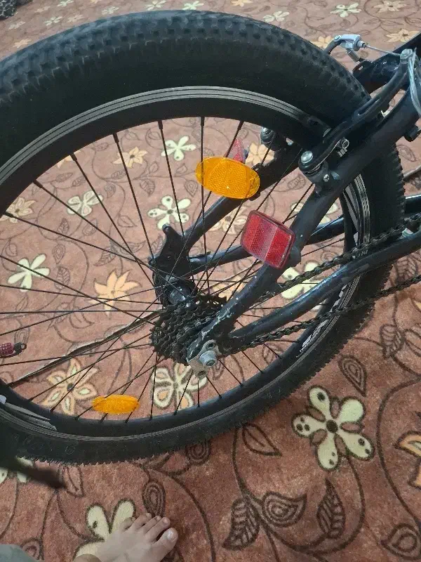 دوچرخه 24بدون دنده|دوچرخه، اسکیت، اسکوتر|آبادان, |دیوار