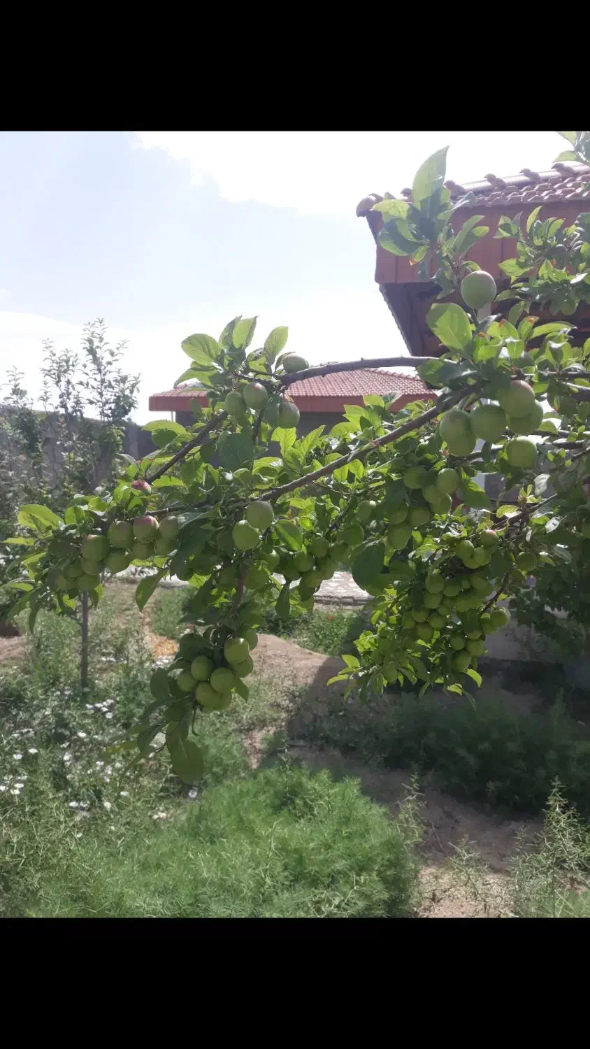 باغ تبرعه دار|فروش خانه و ویلا|اصفهان, براآن شمالی|دیوار