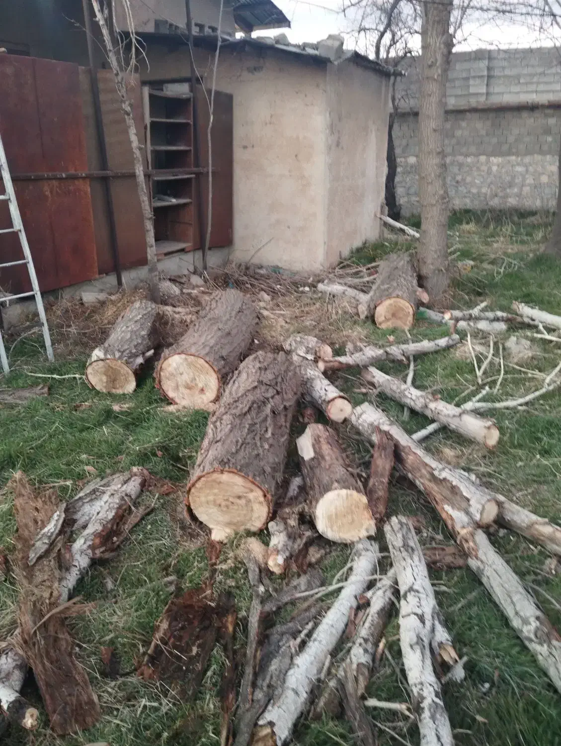 چوب|خدمات باغبانی و درختکاری|دورود, |دیوار