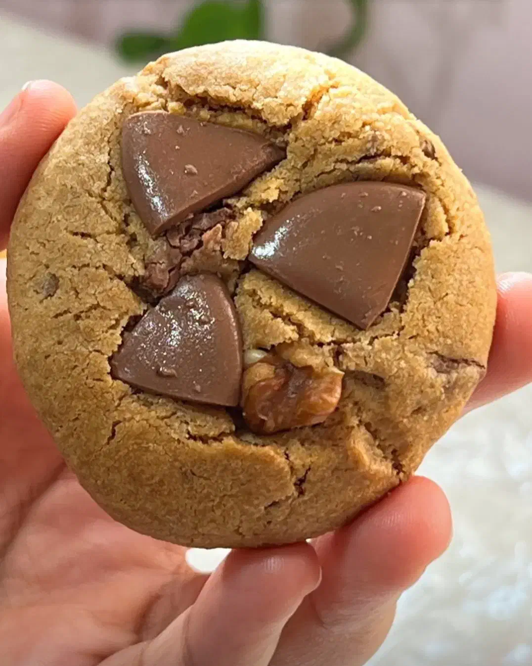 کوکی ،نیویورکی|خوردنی و آشامیدنی|اهواز, کوی آغاجاری|دیوار