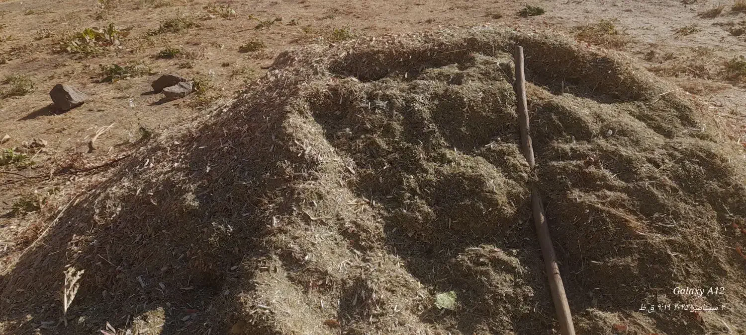 علف|حیوانات مزرعه|دیواندره, |دیوار