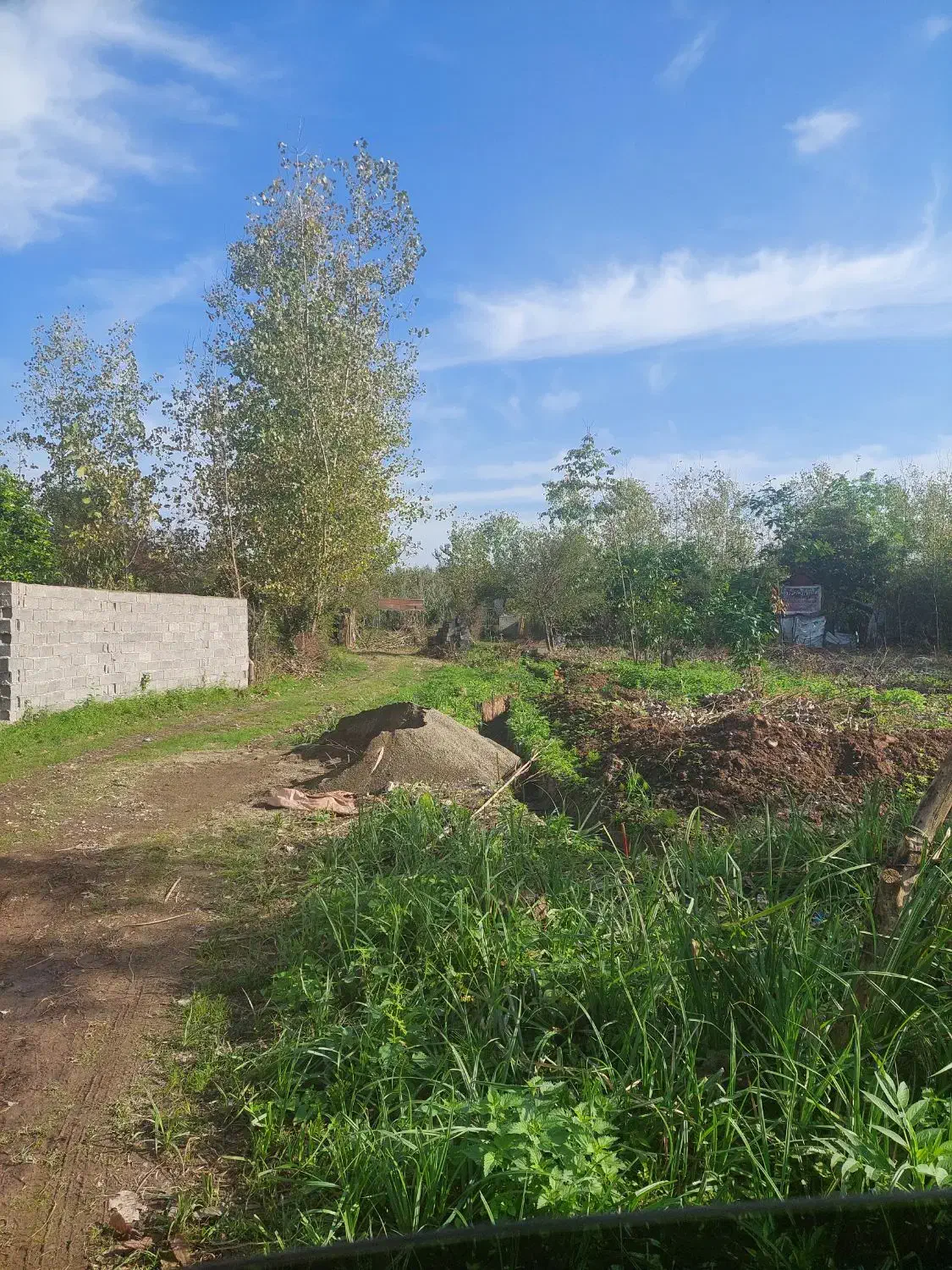 حمل شن و ماسه نیسان کمپرسی قیمت مناسب|خدمات حمل و نقل|لاهیجان, لیالستان|دیوار