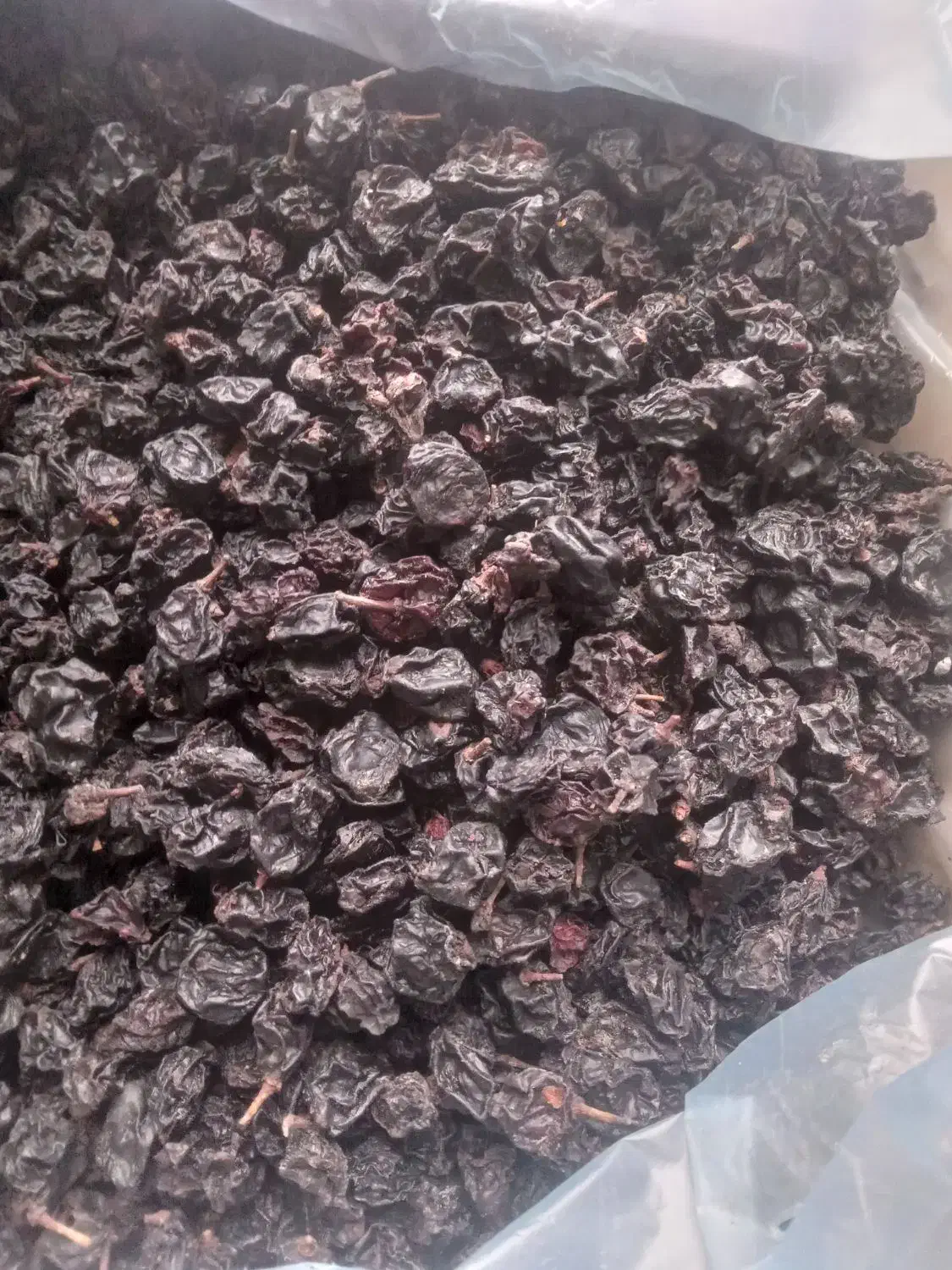 کشمش ، مویز انگور سیاه سردشت|خوردنی و آشامیدنی|سردشت, |دیوار