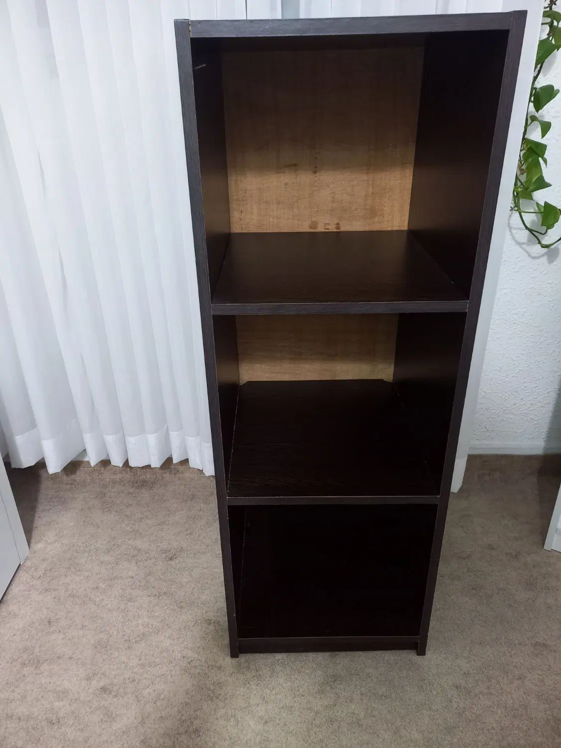 کتابخانه|کتابخانه، شلف، قفسههای دیواری|رشت, دیانتی|دیوار