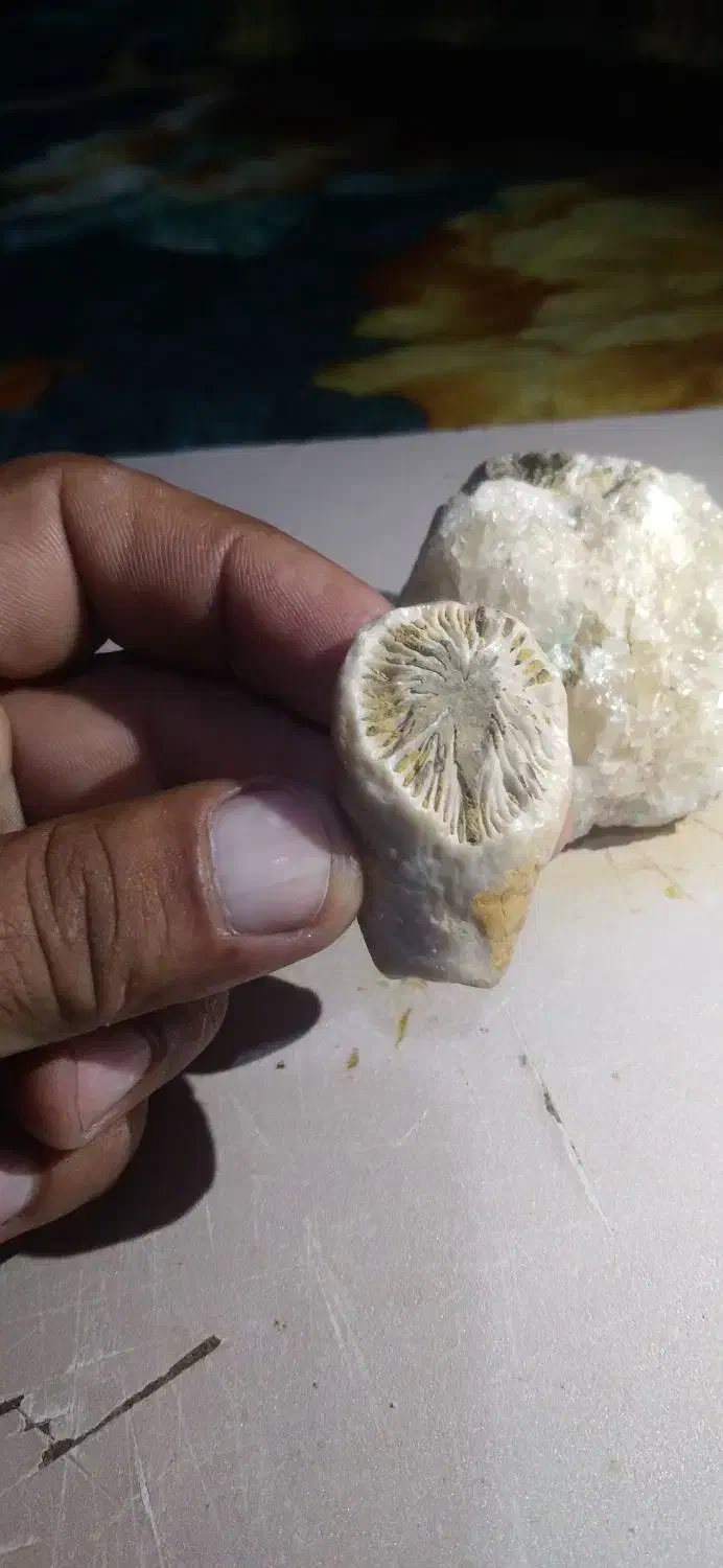 سنگ قیمتی|جواهرات|علیآباد کتول, |دیوار