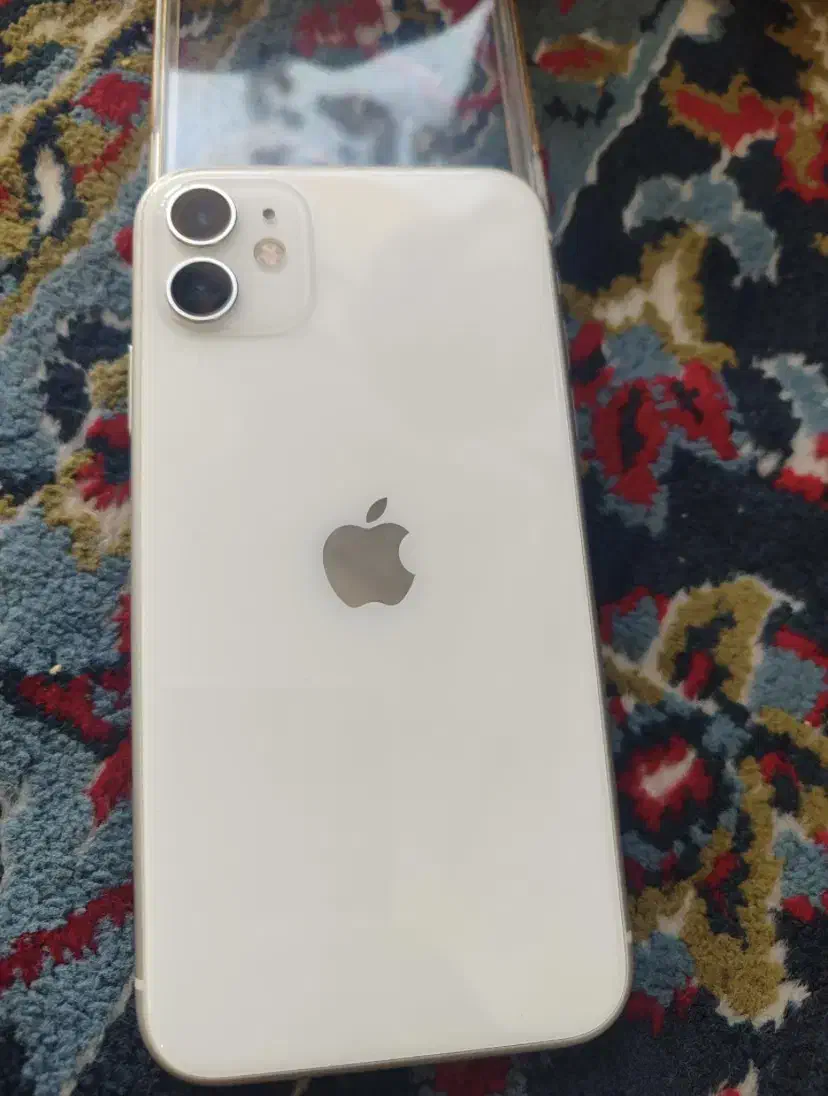 ایفون ۱۱نرمال|موبایل|تربت‌حیدریه, سرمحله|دیوار