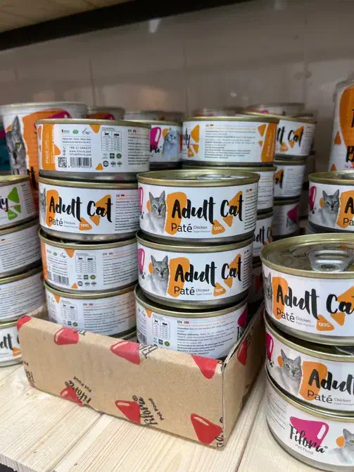 ملزومات حیوانات خانگی ، غذای گربه و‌سگ|لوازم جانبی حیوانات|شیراز, باغ تخت|دیوار