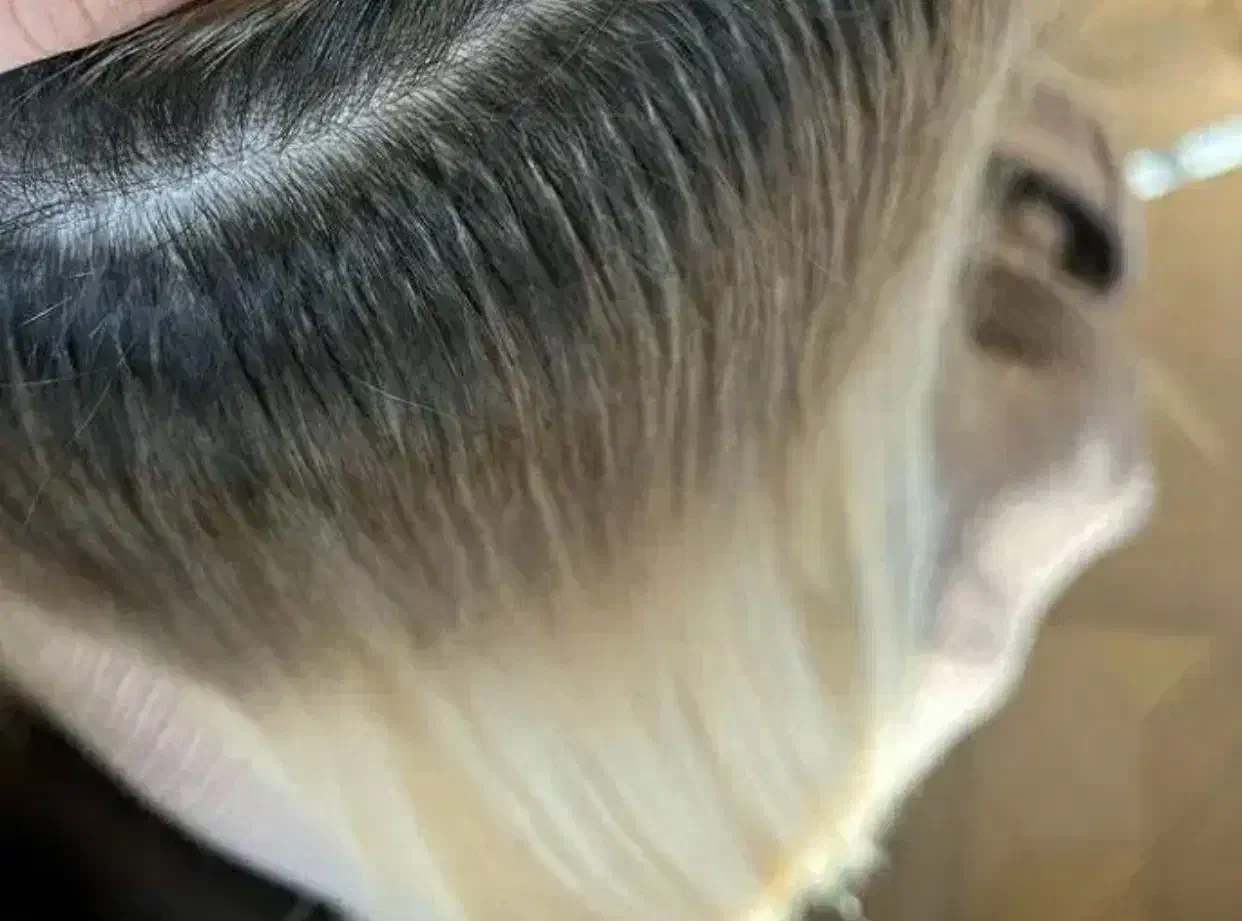 اکستنشن با موی طبیعی ، نصب رایگان کمترین قیمت|آرایشگاه و سالنهای زیبایی|پردیس, فاز ۱۱|دیوار