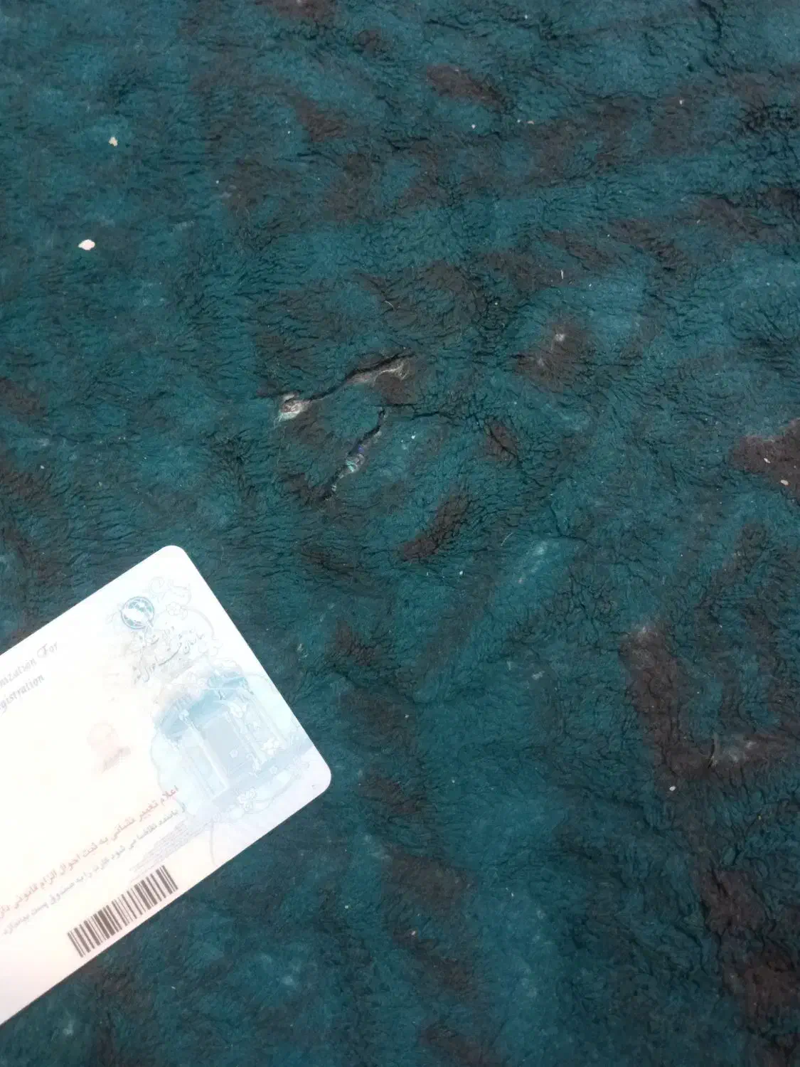 کارت ملی گم کردم|اشیا|شیراز, شاپورجان|دیوار