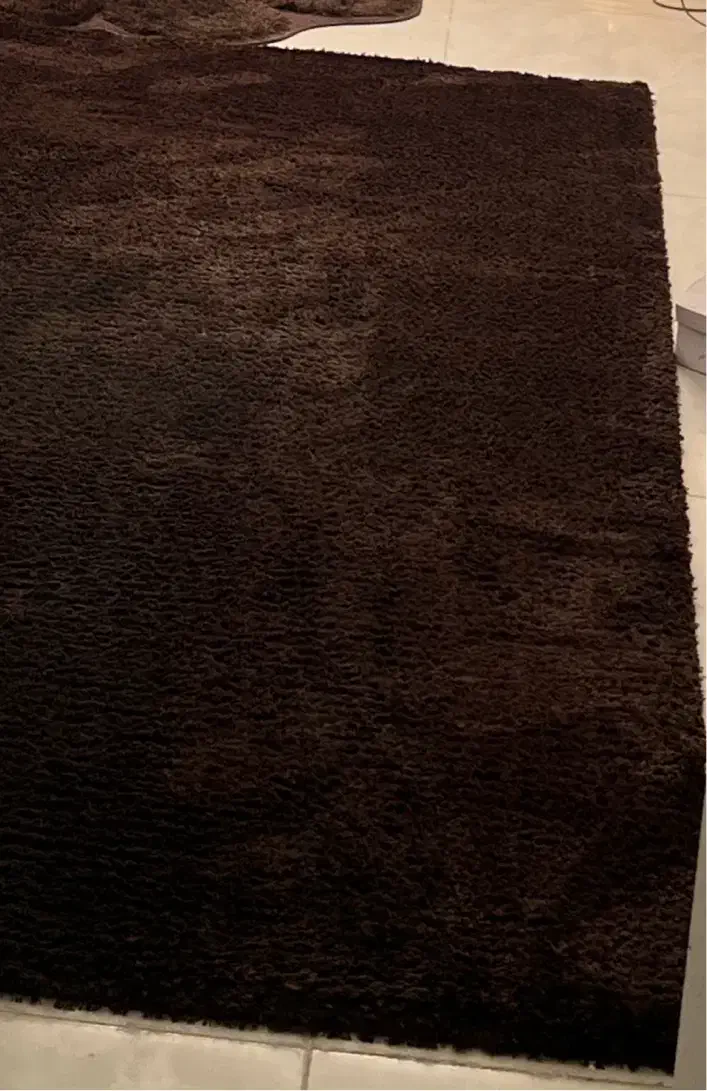 فرش شگی|فرش|زاهدان, |دیوار