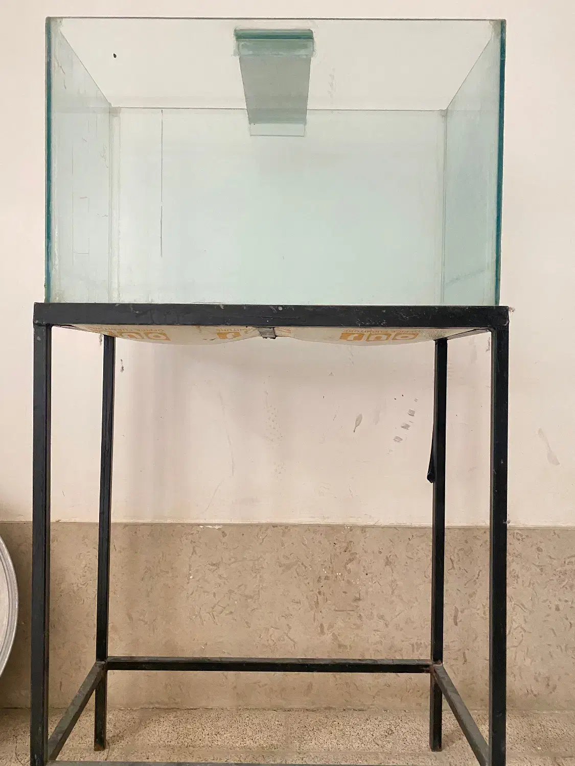 اکواریوم|ماهی|بجنورد, |دیوار