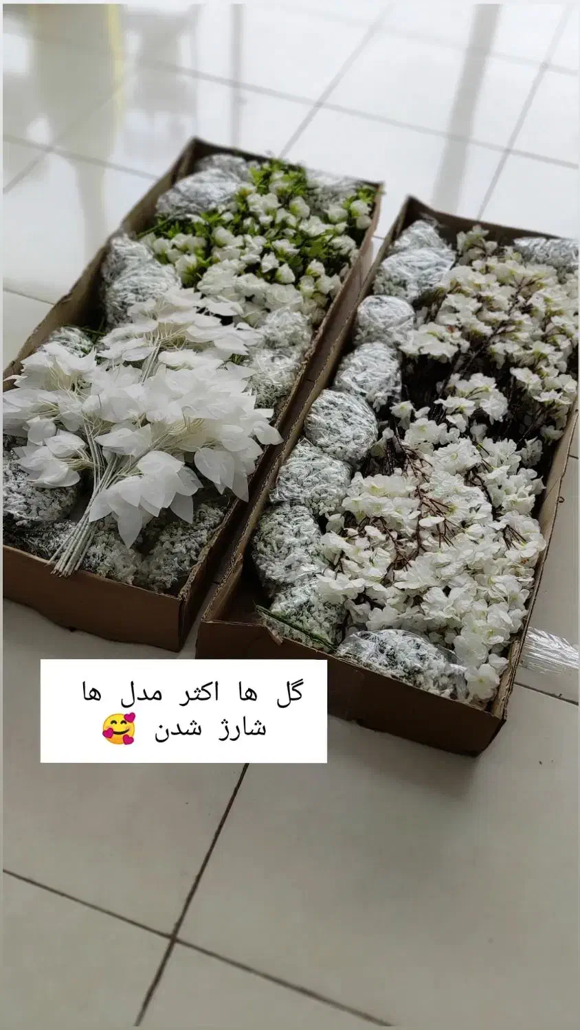 گل و گلدان|حراج|بندرعباس, |دیوار