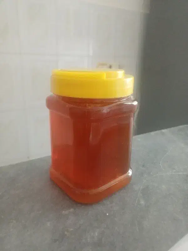 عسل طبیعی خانگی|خوردنی و آشامیدنی|صومای برادوست, |دیوار