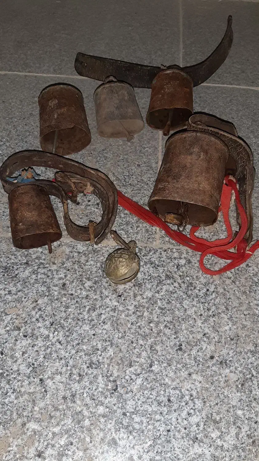 زنگوله|لوازم جانبی حیوانات|سبزوار, جهاد کشاورزی|دیوار