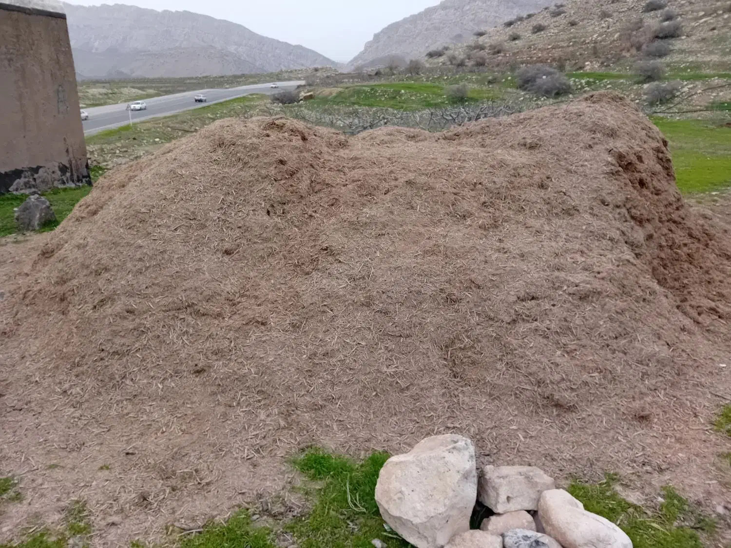 نیشکر|لوازم جانبی حیوانات|خرم‌آباد, |دیوار