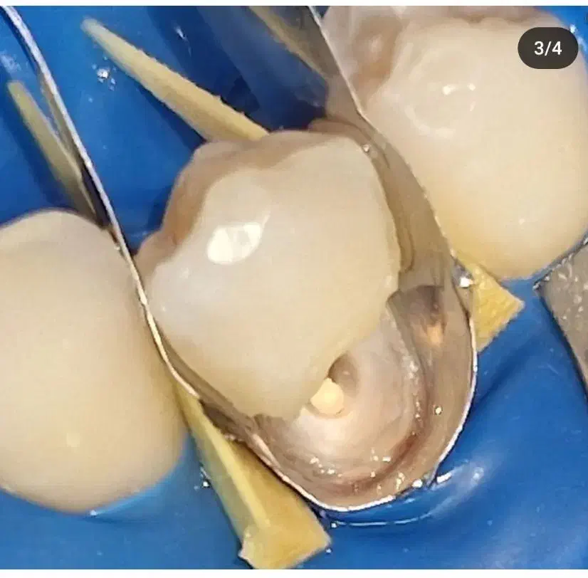 جشنواره خدمات دندانپزشکی|خدمات آرایشگری و زیبایی|تربت‌حیدریه, مسجد جامع|دیوار