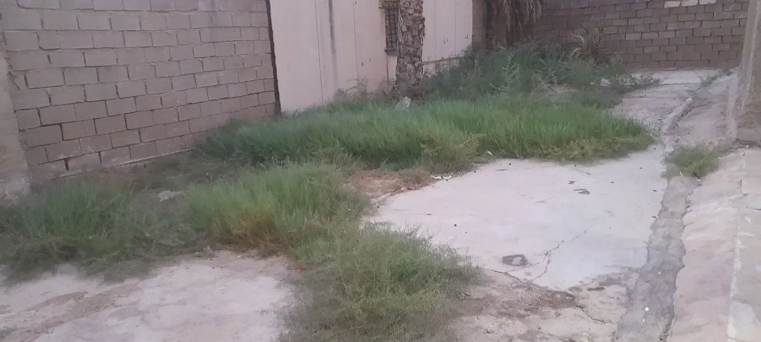 خدمات باغ..|خدمات باغبانی و درختکاری|چمران, |دیوار